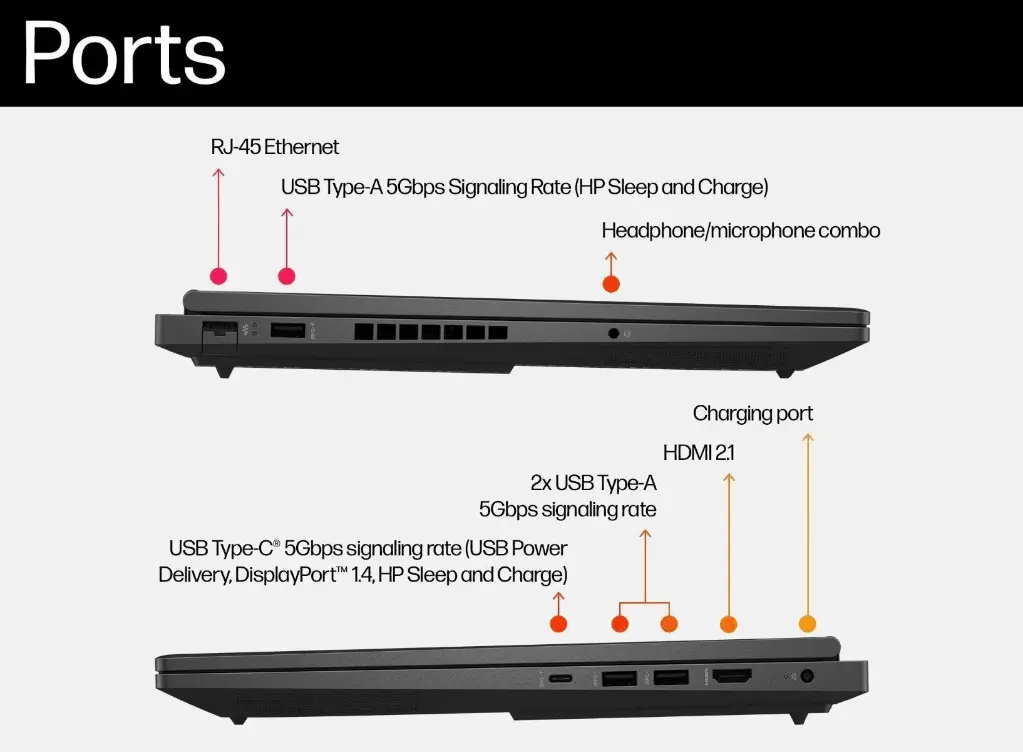 brunobear_extfan_ports.webp