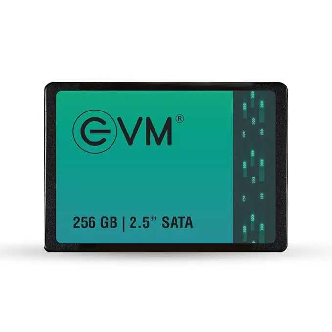 EVM 256GB 2.5-Inch SATA Internal SSD - 550MB/s Read & 500MB/s Write - 5-Year Warranty (EVM25/256GB) 