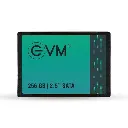 EVM 256GB 2.5-Inch SATA Internal SSD - 550MB/s Read & 500MB/s Write - 5-Year Warranty (EVM25/256GB) 