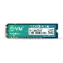 EVM 256GB M.2 (2280) SATA Internal SSD - 530MB/s Read & 420MB/s Write - 5-Year Warranty (EVMM2/256GB) 