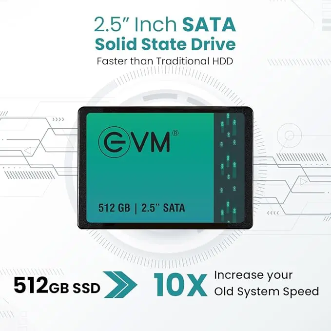 EVM 512GB 2.5-Inch SATA Internal SSD - 550MB/s Read & 500MB/s Write - 5-Year Warranty (EVM25/512GB) 